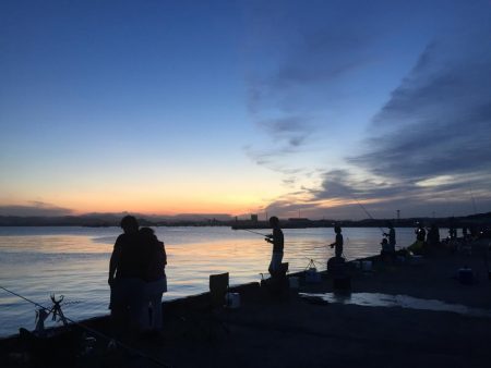 ソウダガツオ狙い