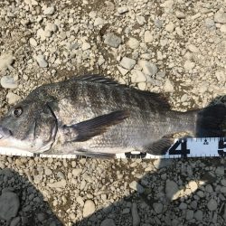 イチノ兄弟、釣果！