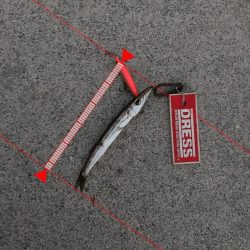 タチウオ食いたい