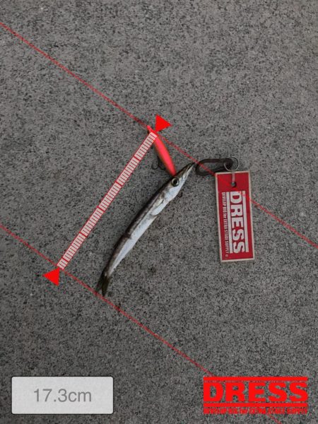 タチウオ食いたい