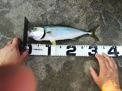 ファミリーフィッシング楽しめました