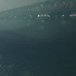 きたこれぇえぇ‼️