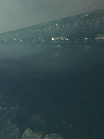 きたこれぇえぇ‼️