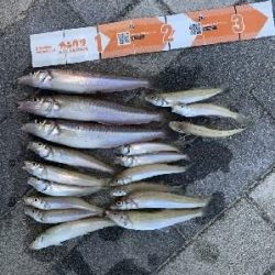 キスがたくさん