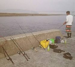 夜釣りの五目釣り