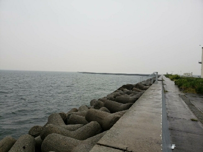 青物をもとめて