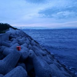 青物をもとめて