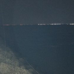 念願のチヌ~、きたぁぁぁぁぁ!