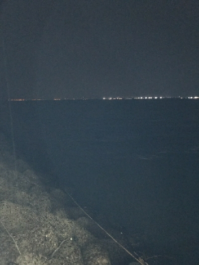 念願のチヌ~、きたぁぁぁぁぁ!