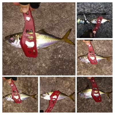 アジンガー1840〜1933 2105〜2…