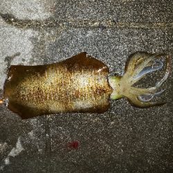 まさかの‥キロUP(笑)