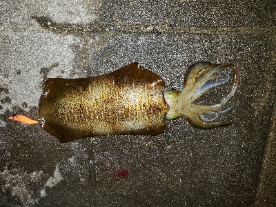 まさかの‥キロUP(笑)