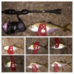 アジンガー1910〜2130