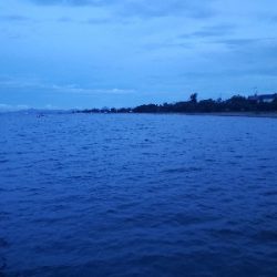 久しぶりのバスフィッシング‼️