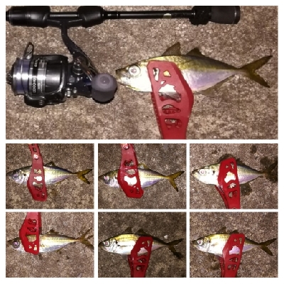 アジンガー1910〜2130