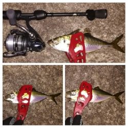 アジンガー1900〜1940 2110〜2150