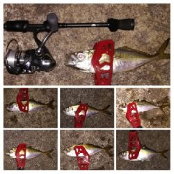 アジンガー1900〜2025