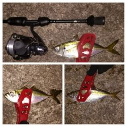 アジンガー1855〜1930 2105〜2140