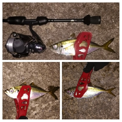 アジンガー1855〜1930 2105〜2…