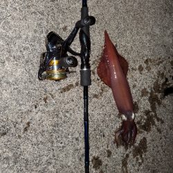 台風前の釣果!!