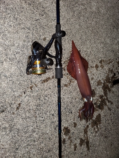 台風前の釣果!!