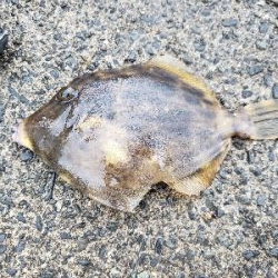 サイズはともかく目標達成！