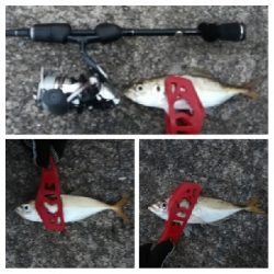 アジンガー1800〜2010