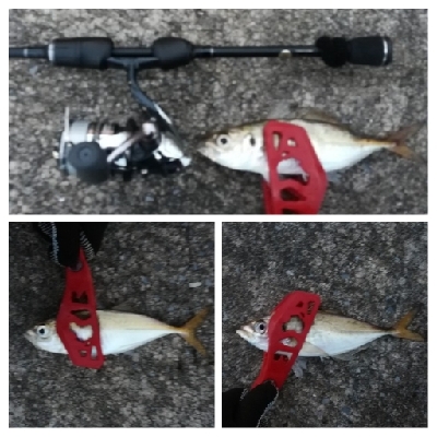 アジンガー1800〜2010