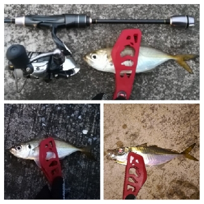 アジンガー1715〜1930