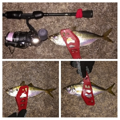 アジンガー1840〜1920