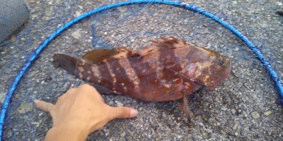 台風後不調からのラッキーパンチ！