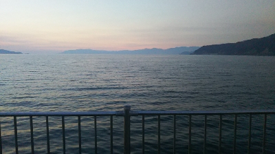 キジハタはへチにいる