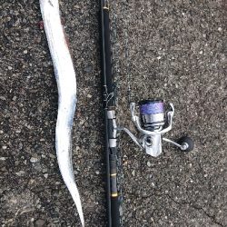 激渋ショアジギング