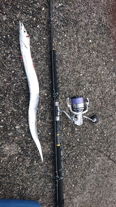 激渋ショアジギング