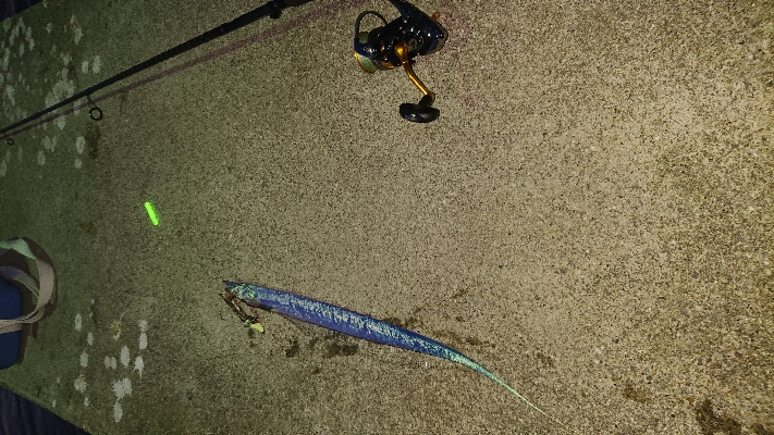 今シーズン初。