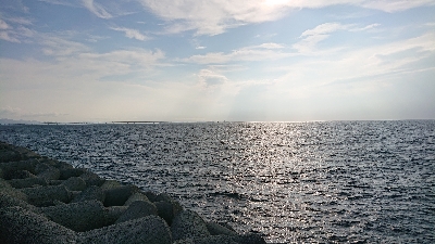 青物をもとめて