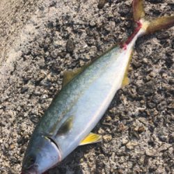 熱中症になりそうなぐらい