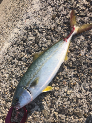 熱中症になりそうなぐらい