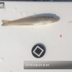 ミニチュア祭り