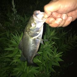 いつもと違う？