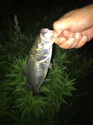 いつもと違う？