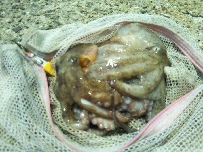 まだまだ修行が足りません