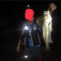 ナイトから朝マヅメ