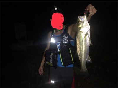 ナイトから朝マヅメ