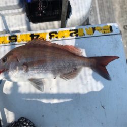 2度目の1つテンヤ