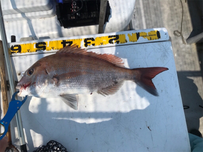 2度目の1つテンヤ