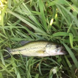 八田原ダムバス釣り