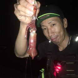 剣先イカ始まりました?ホントに?