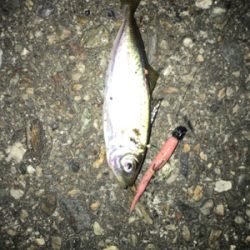 マイクロライトゲーム