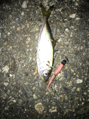 マイクロライトゲーム